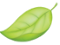 Green-leaf